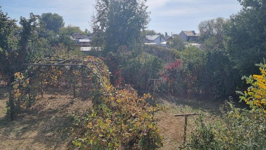 Casă individuală cu 3 camere cu Teren 2000 Mp în Central