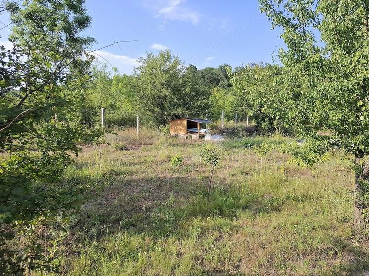 Teren de 5300 mp, în Dragșina