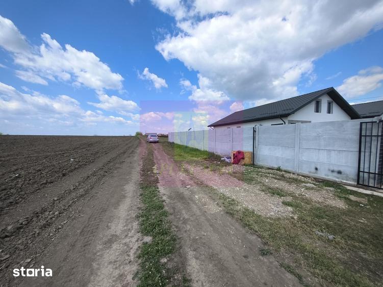 Teren de 3000 mp, în Cernica