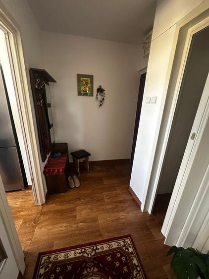 Apartament cu 2 camere semidecomandat, mobilat în Podu Roș - 5