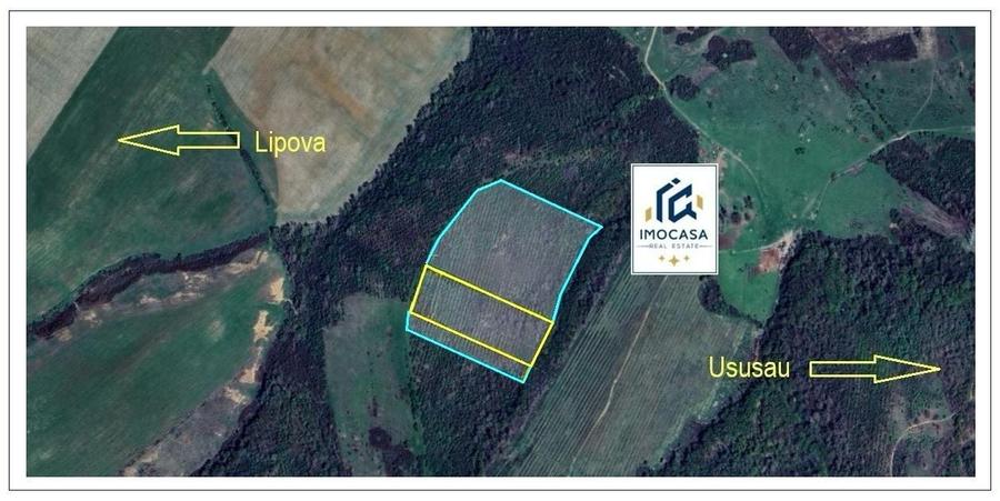 Teren agricol extravilan de 81400 mp, în Nord-Est