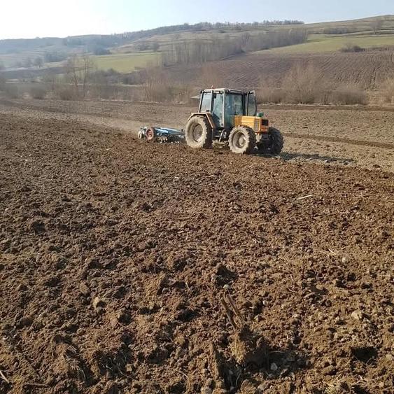 Teren de 51200 mp, în Viișoara