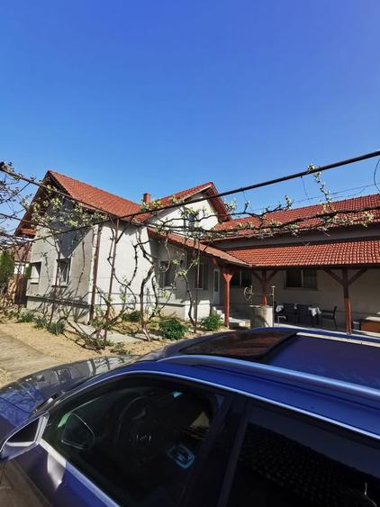 Casă cu 4 camere în Halmeu