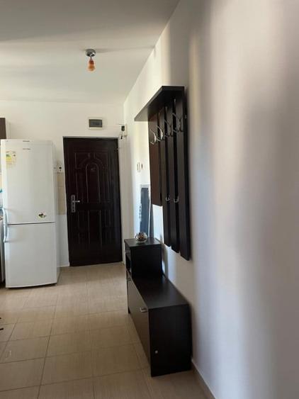 Apartament cu 2 camere decomandat în Șagului