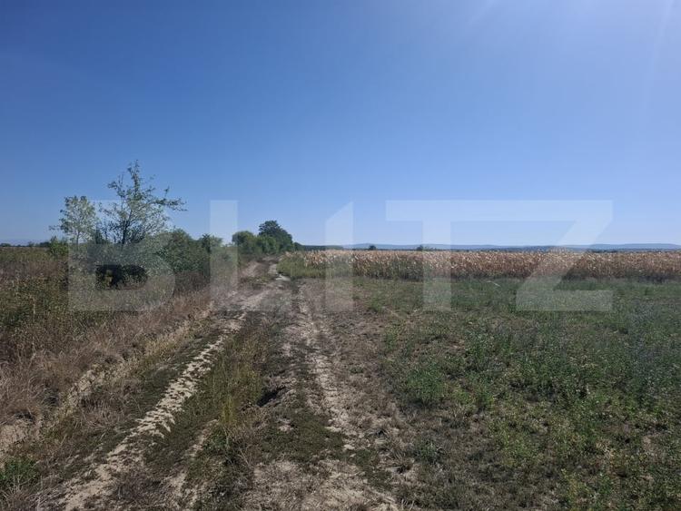Teren Construcții intravilan de 3746 mp, în Mădăras
