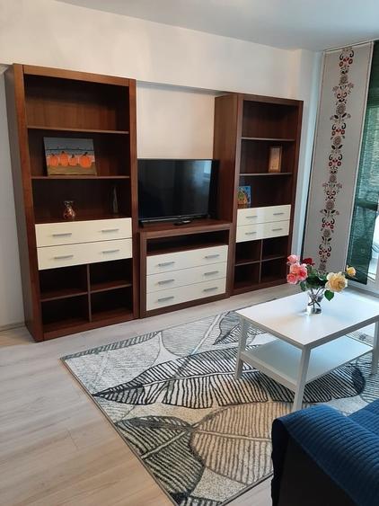 Tineretului, Timpuri Noi, apartament renovat - 9