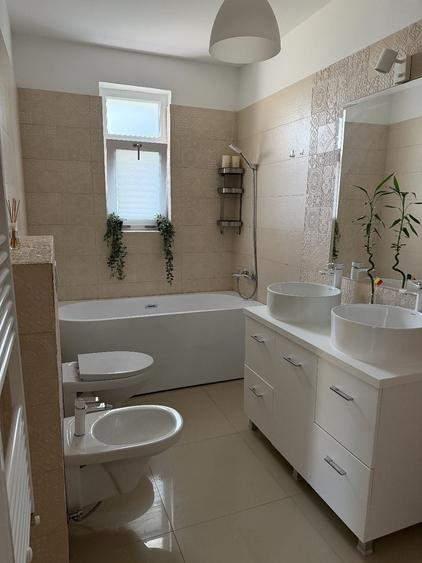 Casă cu 4 camere în Vișan