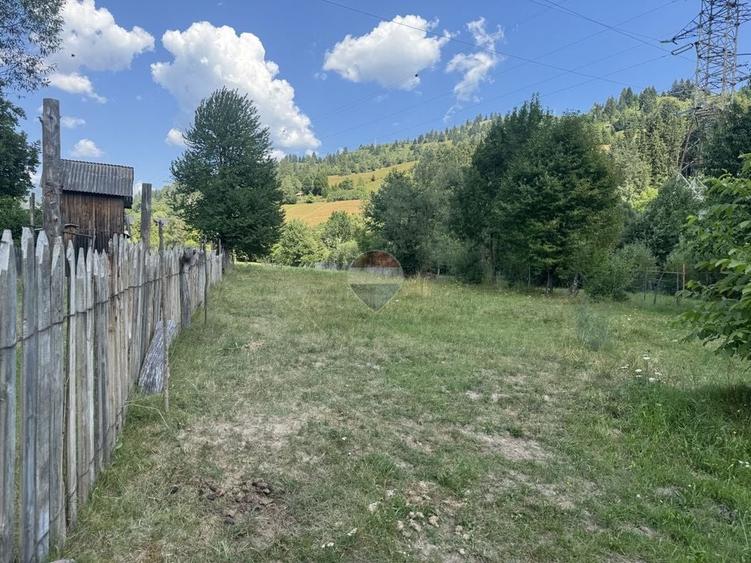 Teren Construcții intravilan de 2860 mp, în Borca
