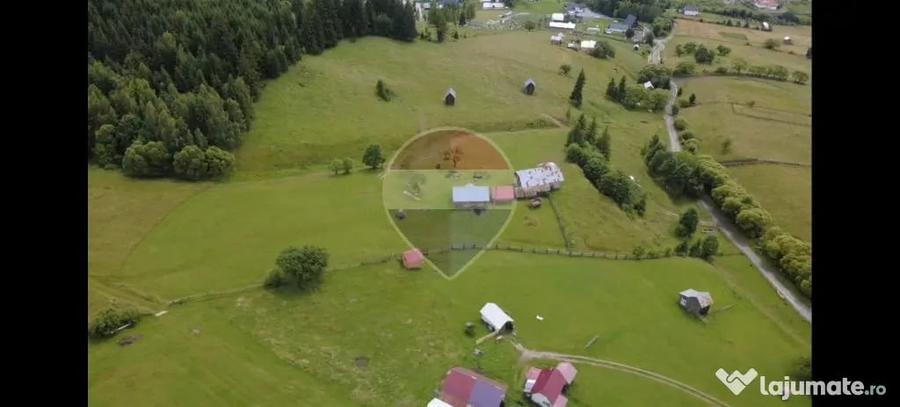 Teren 33,364mp Dorna Candrenilor / Strada Strugurel - Dorna Candrenilor (Suceava) - 6