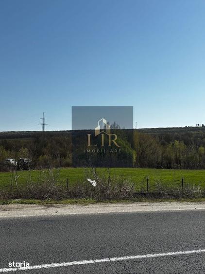 Teren de 1500 mp, în Schitu Duca
