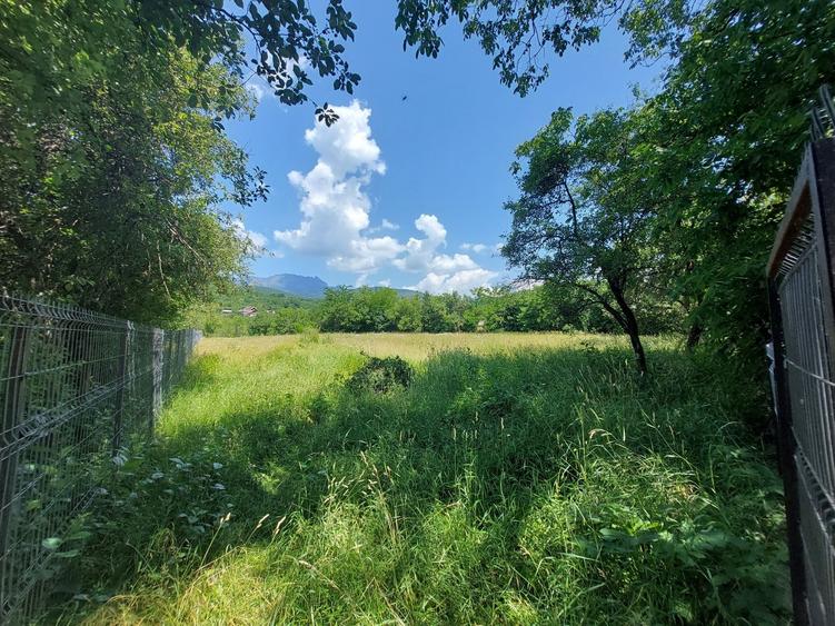 Casă cu 3 camere în Central