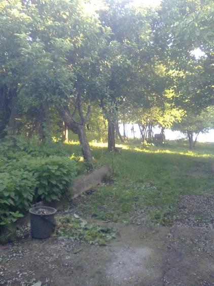 Teren de 1500 mp, în Sărulești