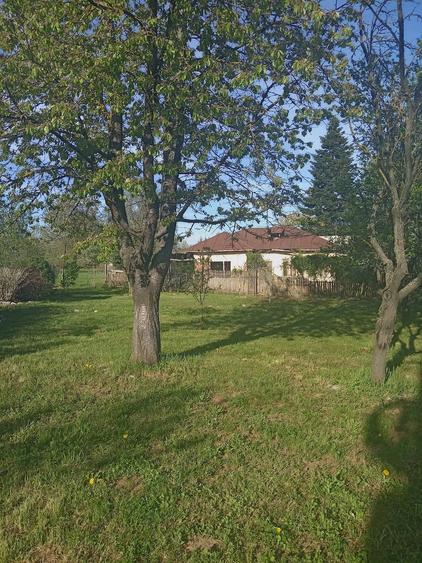Teren de 700 mp, în Central