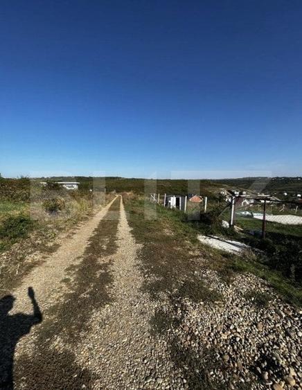 Teren Construcții intravilan de 2100 mp, în Podgoria