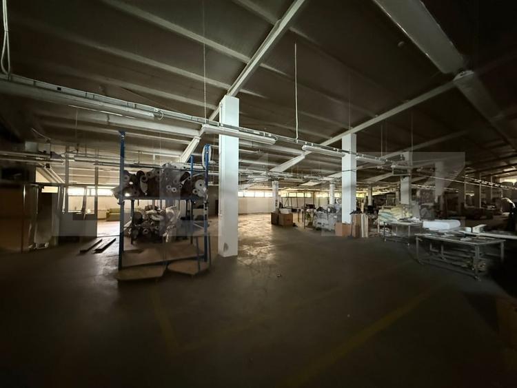 Spațiu industrial, de 3,000 mp, în Careiului