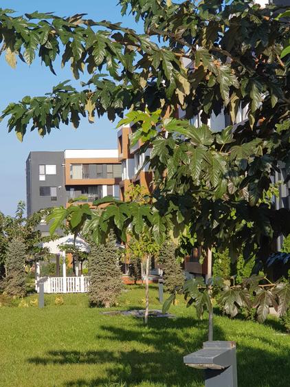 Apartament cu 3 camere decomandat în Carrefour