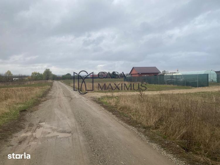 Teren de 400 mp, în Terezian