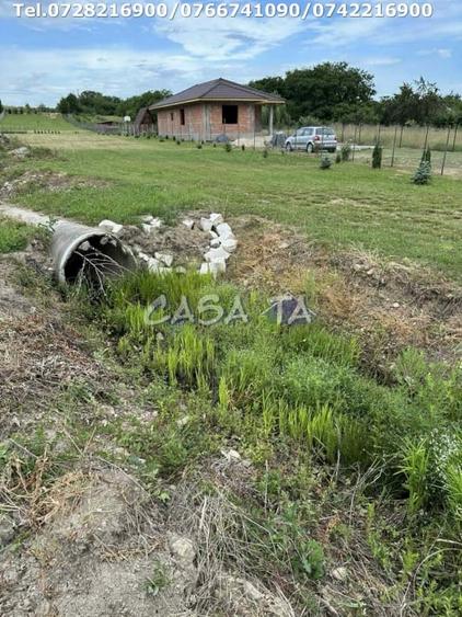 Teren Construcții intravilan de 5000 mp, în Lelești
