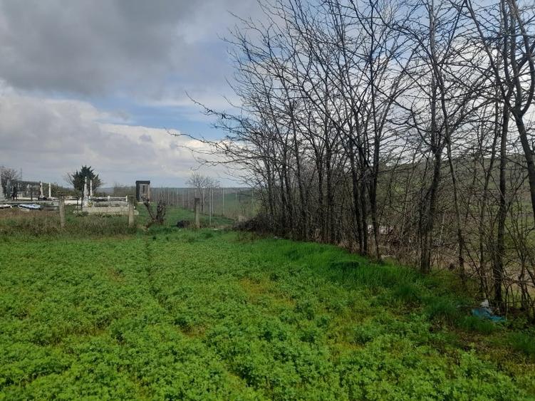 Casă individuală cu 2 camere cu Teren 1058 Mp în Bălțați