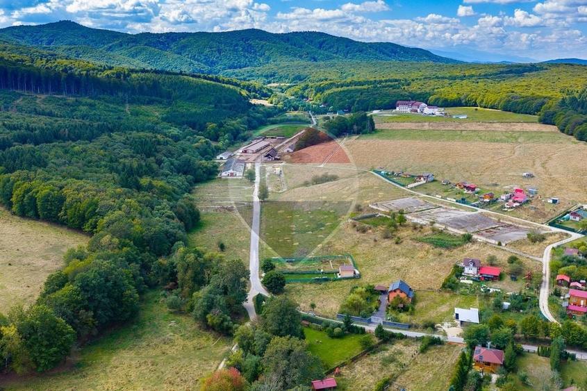 Teren Construcții intravilan de 62330 mp, în Nord-Vest