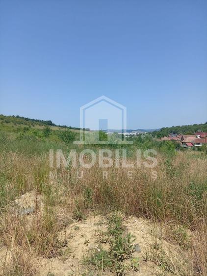 Teren Construcții intravilan de 8800 mp, în Calea Sighisoarei
