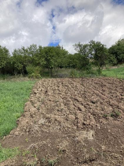 Teren de 1053 mp, în Ampoița