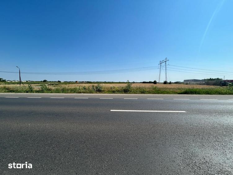 Teren de 11000 mp, în Frumușani