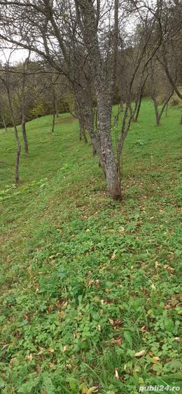 Teren de 5900 mp, în Vălișoara