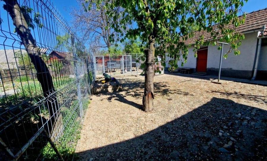 Casă cu 3 camere cu Teren 800 Mp în Finteușu Mare