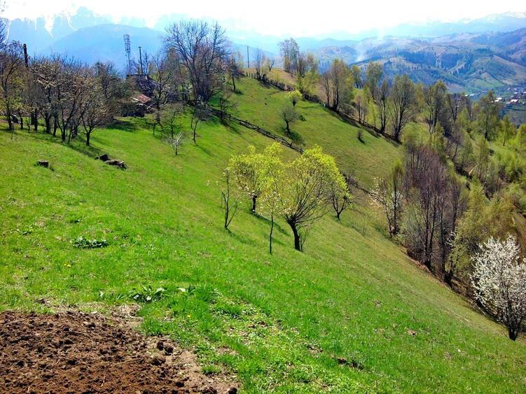 Teren Construcții intravilan de 14000 mp, în Bran