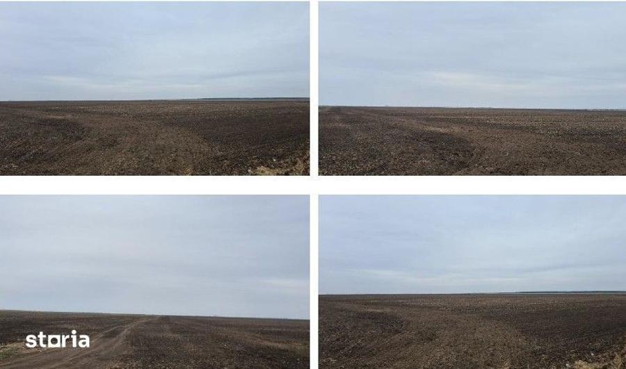 Teren de 5000 mp, în Gălbinași