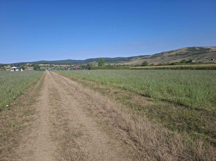 Teren de 400 mp, în Daia