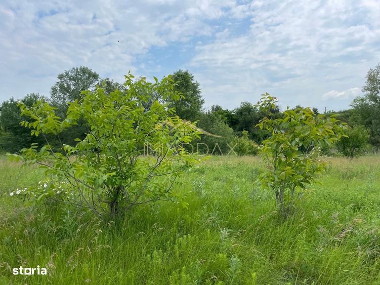 Spațiu comercial, în Crețești