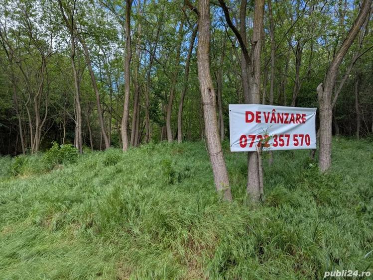 Teren de 3057 mp, în Bujoreni