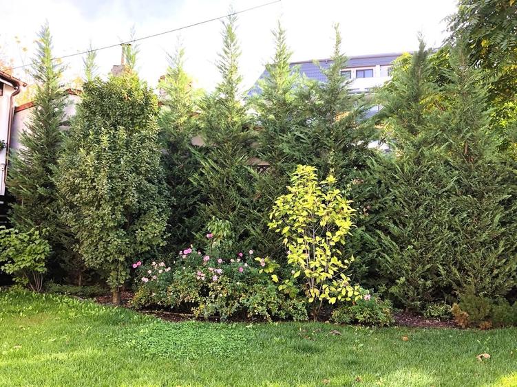 Casă cu 10 camere cu Garaj în Unirii