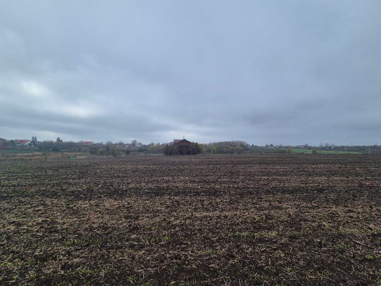 Teren Construcții intravilan de 1200 mp, în Pasărea
