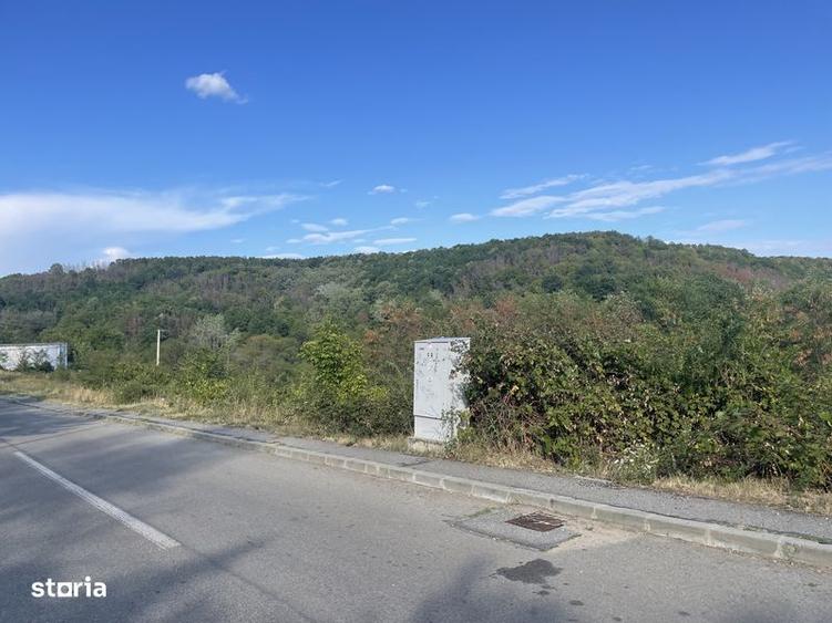 Teren de 1000 mp, în Topoloveni