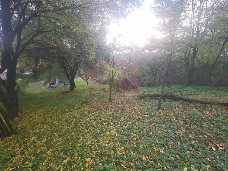 Casă cu 3 camere cu Teren 3410 Mp în Aluniș