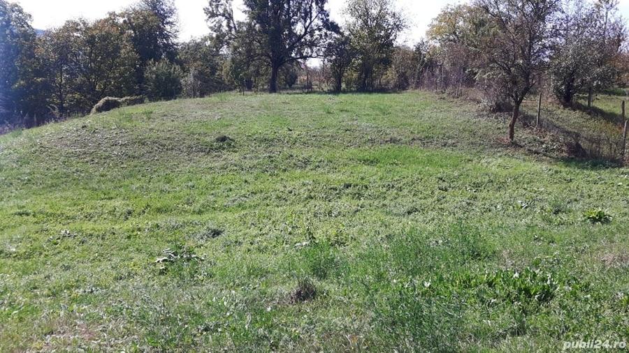 Teren de 4800 mp, în Vidra