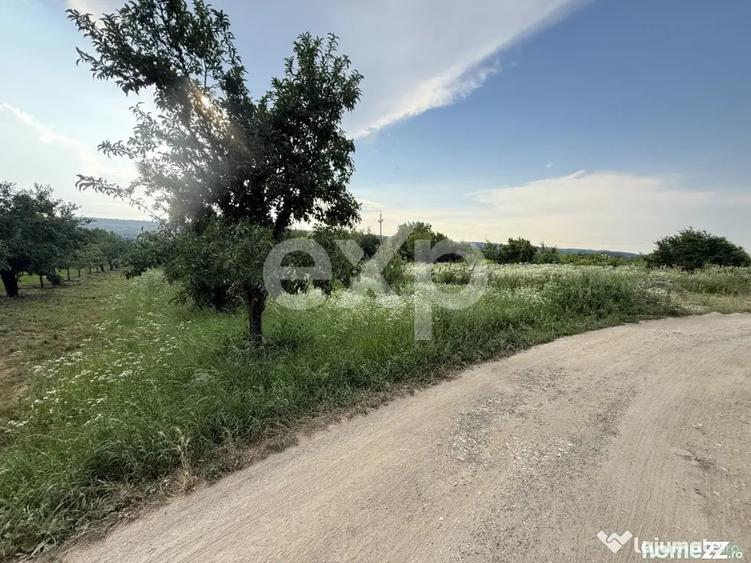 Teren în Central