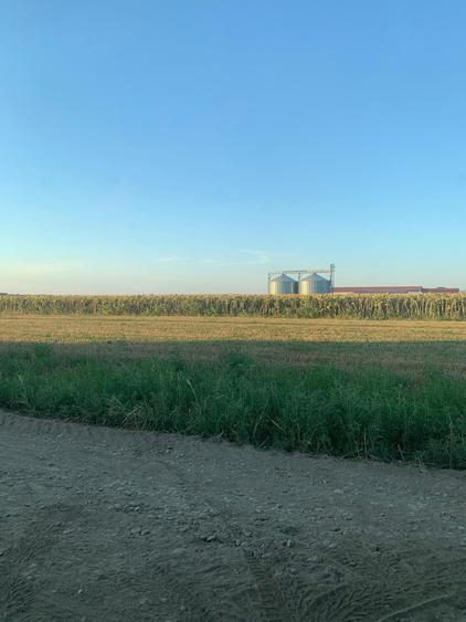 Teren Construcții intravilan de 8655 mp, în Dascălu