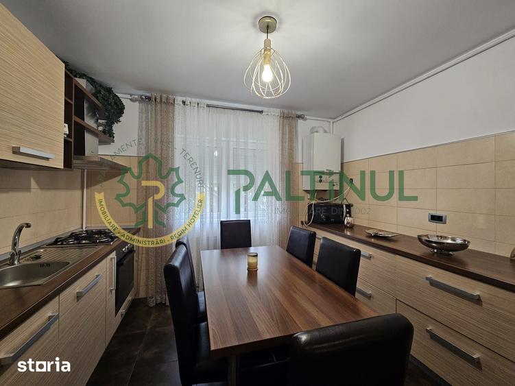 Apartament cu 2 camere decomandat în Gura Râului