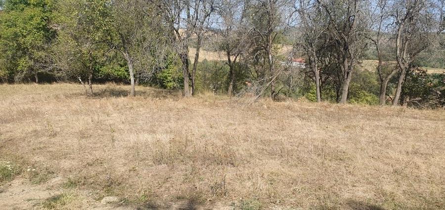 Teren de 4780 mp, în Fornădia