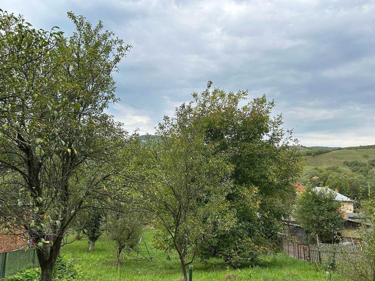 Casă cu 4 camere în Suslănești
