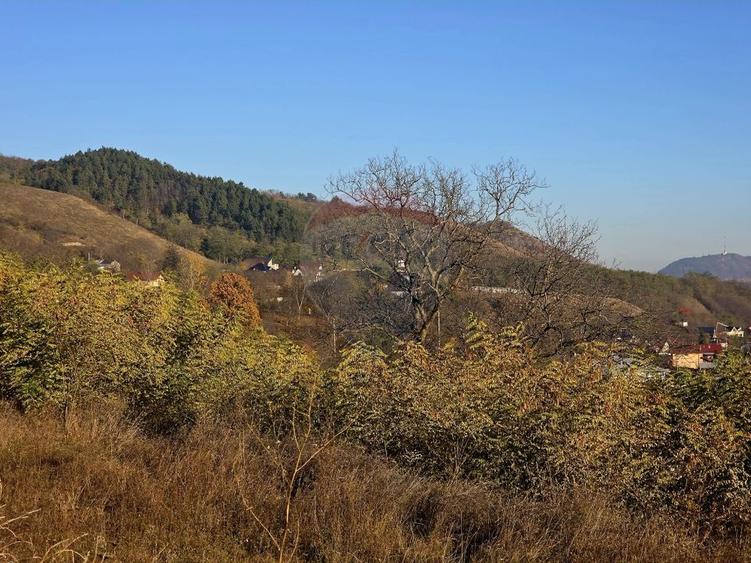 Teren Construcții intravilan de 6874 mp, în Alexandru cel Bun
