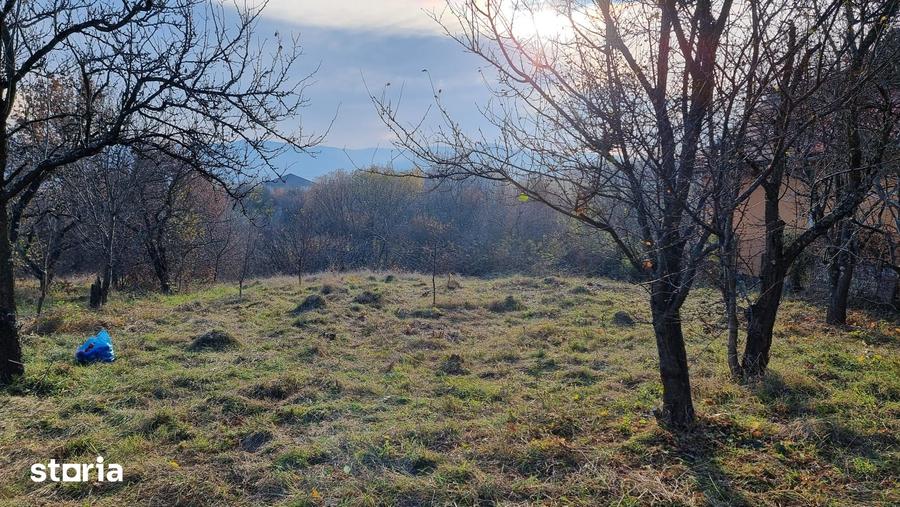 Teren intravilan Tropinii Noi Sibiu 996 mp - 5