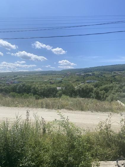 Spațiu comercial, în Chinteni