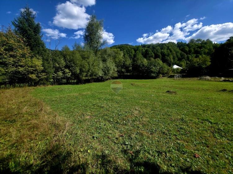 Teren Construcții intravilan de 1113 mp, în Cazaci