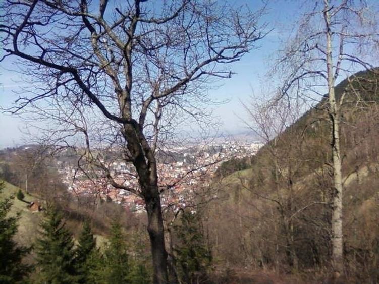 Spațiu comercial, în Drumul Carului