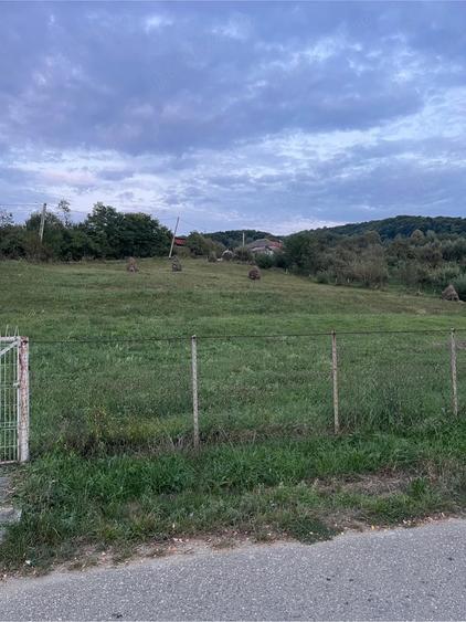 Oportunitate ! Teren Intravilan 4.500 mp - 1